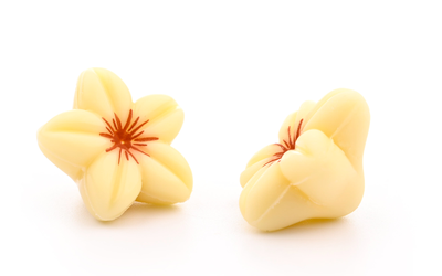 Fiori bianchi 3D