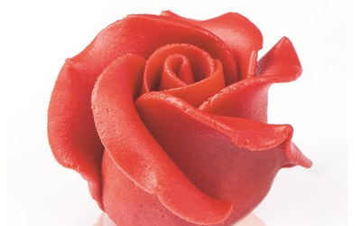 Rosa Rossa